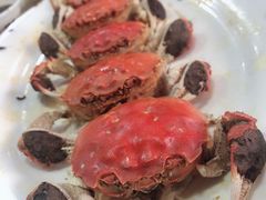 -老字号蛇口德记烧腊饭店·海鲜加工