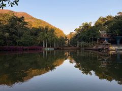 -西双版纳原始森林公园