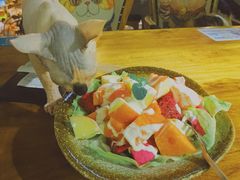 -more than meow吴止猫主题餐厅(承德 中船汇店)