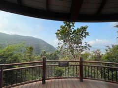 -三亚亚龙湾人间天堂鸟巢度假村