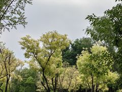 -北坞公园