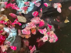 -国御温泉度假小镇