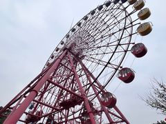 -南湖梦幻岛