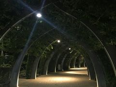 -布里斯班南岸公园