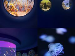 -欢乐海岸海洋奇梦馆