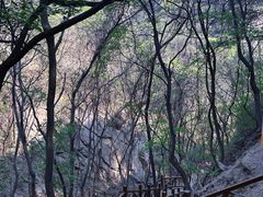 -大岭沟猕猴桃谷风景区