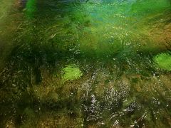 -青水瓦台汤泉(未央店)