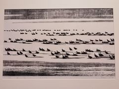 -江苏省美术馆(长江路新馆)