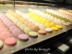 -BLACKSWAN黑天鹅(环球店)