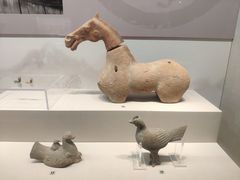-淮安市博物馆