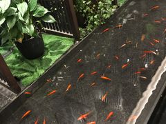 -毛家饭店·30年融合新湘菜(汉峪金谷店)