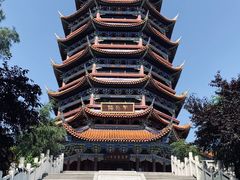 -铁山坪森林公园