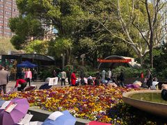 -人民公园-相亲角