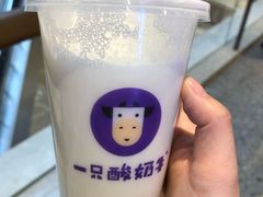 -一只酸奶牛(八一路店)