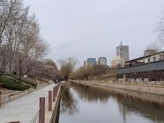-元大都城垣遗址公园