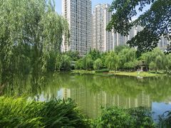 -沐仙湖湿地公园
