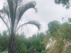 -龙佳生态温泉山庄