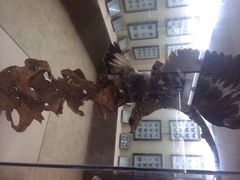 iphone_upload_pic-下渚湖国家湿地公园科普馆