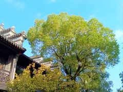 -老门东历史文化街区