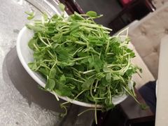 -太婆天府山珍酒楼(亚运村店)