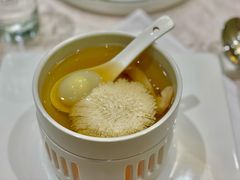 松茸炖绣球豆腐-新光酒家·河豚·海鲜·蟹料理(浦东店)
