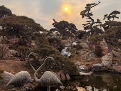 -罗红摄影艺术馆