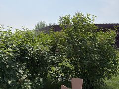 -圣露庄园·露营·烤肉·亲子