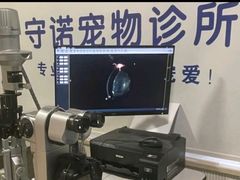-守诺宠物医院·眼科· 神经外科·爬宠专科(虹口店)