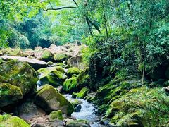 景点-青城山