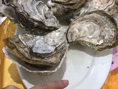 -蚝专家(北滘店)