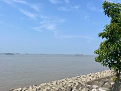 -上海滨江森林公园