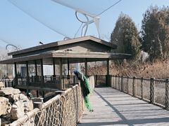 -太原动物园