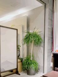 点击看大图 -iSpa