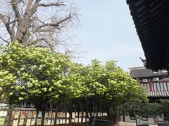 -常熟方塔园