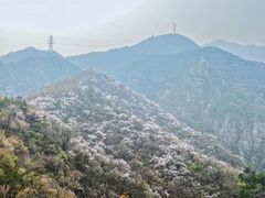 -北京鹫峰国家森林公园