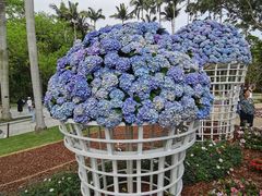-深圳仙湖植物园