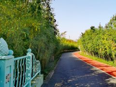 -上海长兴岛郊野公园