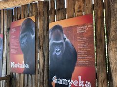 -威勒比开放式动物园