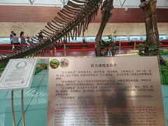 -诸城市恐龙博物馆