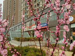 -临沂动植物园