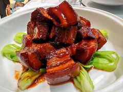 -丁老爷子苏香圆