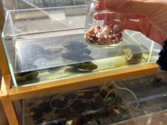 -十八字金银饰·拼豆·开蚌手工体验团建(君太百货店)