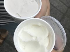 -洪馨椰子