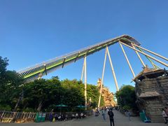 -鹦鹉过山车