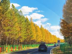 -塞罕坝国家级自然保护区