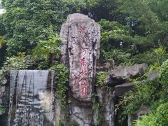 -广州市流溪河国家森林公园