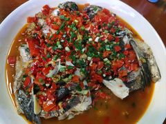 -全乐鱼馆·淳牌有机鱼直营店