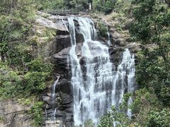 -海南热带雨林国家公园吊罗山景区