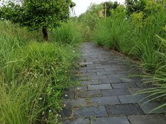 -梁鸿国家湿地公园