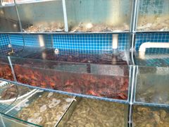 水产区-蟹谢蒸鲜自助餐厅